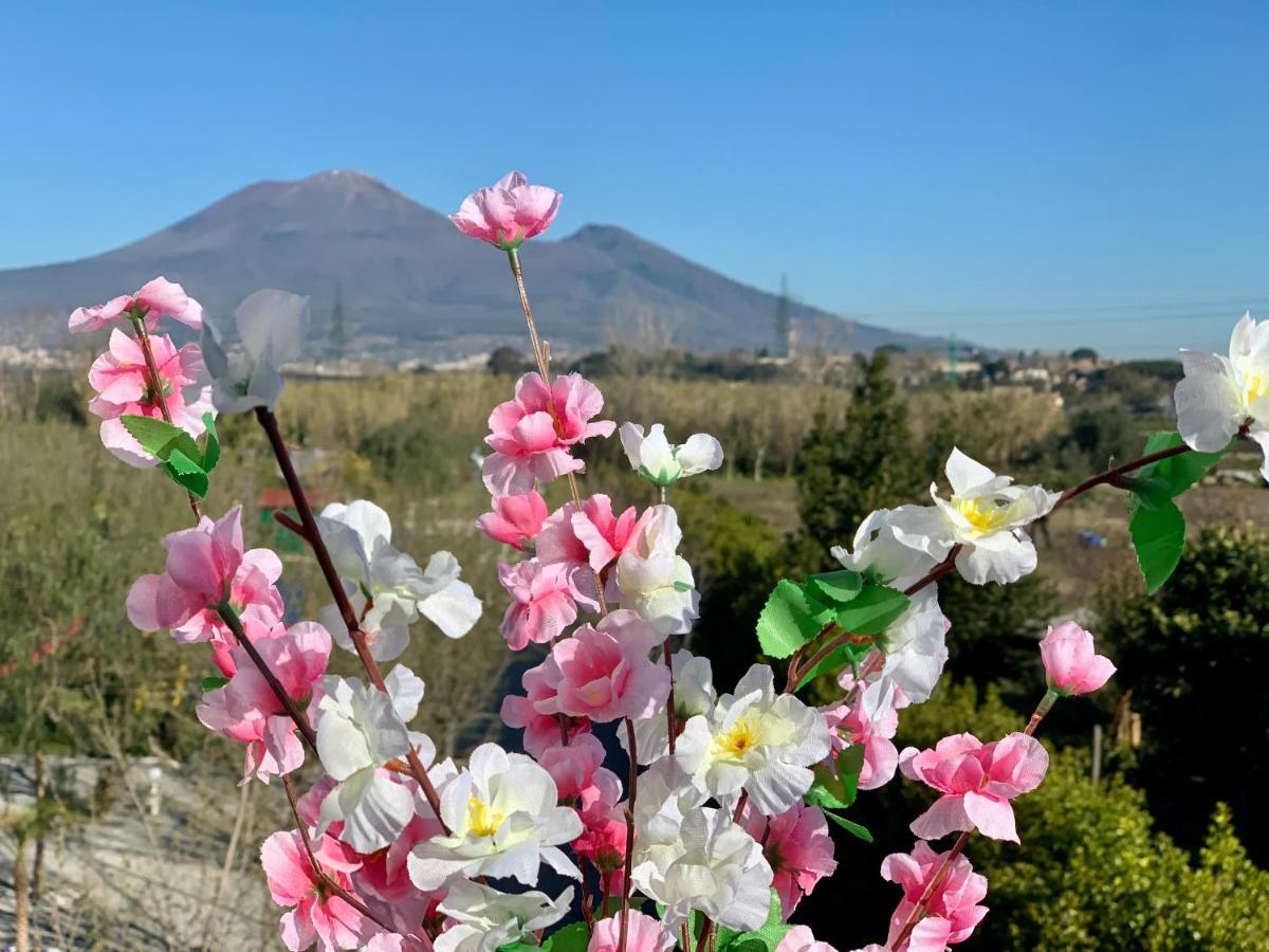 Villa Valentino Pompeji Экстерьер фото